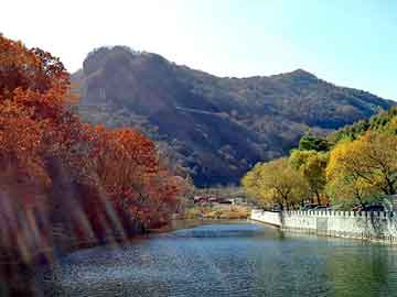 新澳天天开奖资料大全旅游团，马丽娟年龄